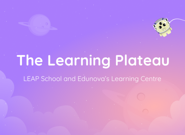 Impact Study_ The Learning Plateau